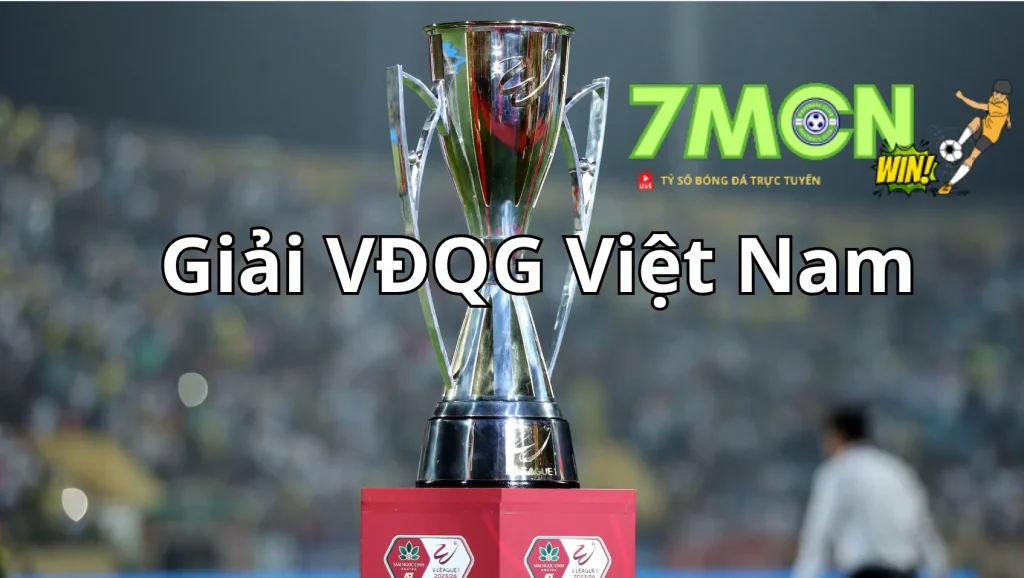 7M cập nhật thông tin về Giải VĐQG Việt Nam mới nhất hiện nay